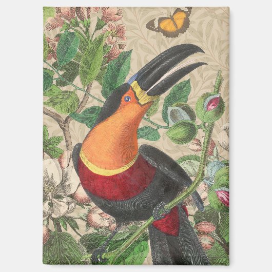 Toucan Oerwoud Tropical Bird Mooi Antiek Magneet (Voorkant)