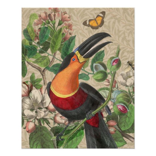 Toucan Oerwoud Tropical Bird Mooi Antiek Perfect Poster (Voorkant)