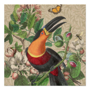 Toucan Oerwoud Tropical Bird Mooi Antiek Perfect Poster