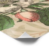 Toucan Oerwoud Tropical Bird Mooi Antiek Perfect Poster (Hoek)