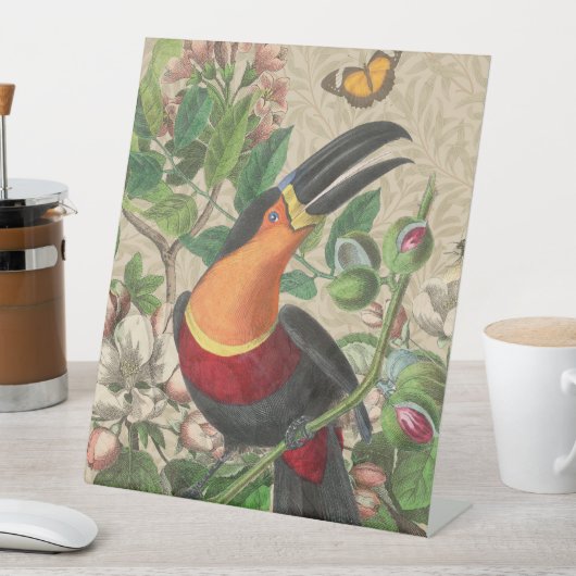 Toucan Oerwoud Tropical Bird Mooi Antiek Reclamebord Met Voetstuk (Insitu)