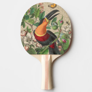 Toucan Oerwoud Tropical Bird Mooi Antiek Tafeltennisbatje