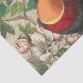 Toucan Oerwoud Tropical Bird Mooi Antiek Tissuepapier (Detail)