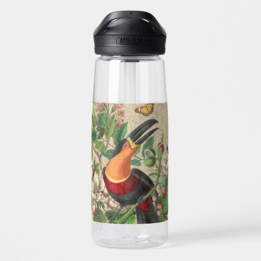 Toucan Oerwoud Tropical Bird Mooi Antiek Waterfles (Achterkant)
