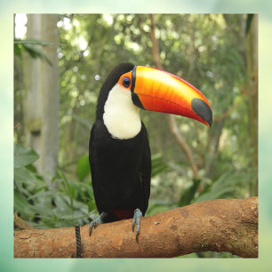 Toucan op boomtak raamsticker