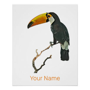 Toucan Portret Dier Tropische Vogel Ontwerp Perfect Poster