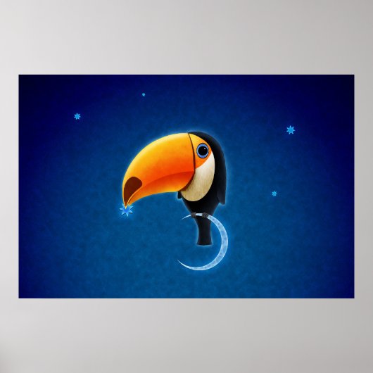 Toucan Poster (Voorkant)