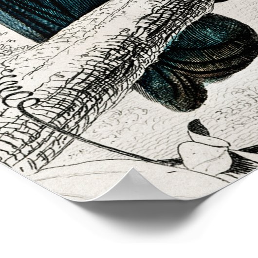 Toucan Ramphastos Illustratie  Art Print (Hoek)