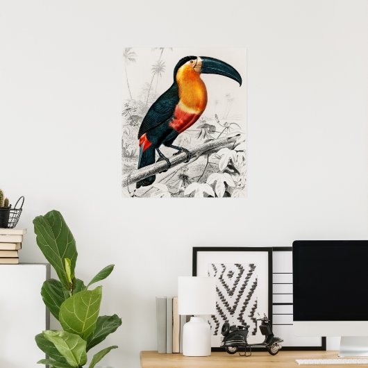 Toucan Ramphastos Illustratie Art Print (Thuiskantoor)
