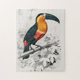 Toucan Ramphastos Illustratie Vintage Kunstprint Legpuzzel