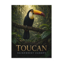 Toucan regenwoud bladerdak Wildlife DIER