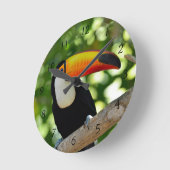 Toucan Ronde Klok (Hoek)