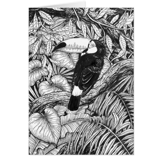 Toucan tropical garden (Voorkant)