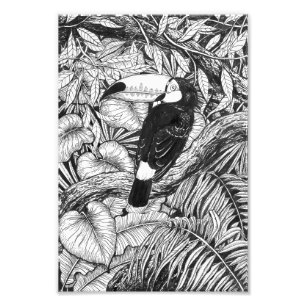 Toucan tropical garden foto afdruk