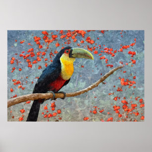 Toucan Tropisch regenwoud Vogelschilderij Poster