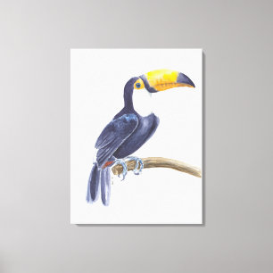 Toucan, tropische vogel canvas afdruk