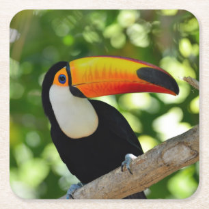 Toucan Vierkante Kartonnen Onderzetter