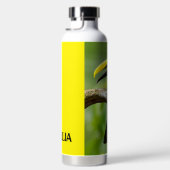 Toucan zittend op de tak in het bos waterfles (Rechts)