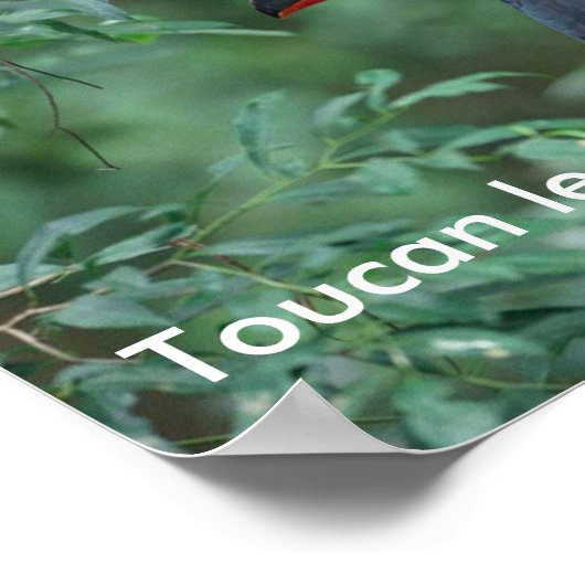 ToucanMath Poster (Hoek)