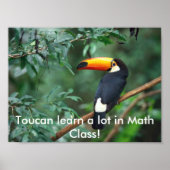 ToucanMath Poster (Voorkant)