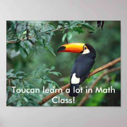 ToucanMath Poster (Voorkant)
