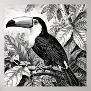 Toucans Jungle Loof Gravure Poster
