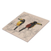 Toucans sur carreaux de céramique (B) (Côté)