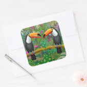 Toucans tropicaux en Stickers Jungle (Enveloppe)