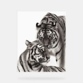 Touch - Oeuvre originale de tigre peinte à la main (Recto)