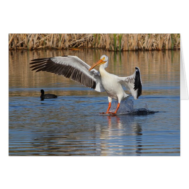 Touchdown (Voorkant Horizontaal)