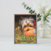 TouchDown Yorkie Briefkaart (Staand voorkant)