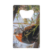 Touche de la barre de panda rouge (Devant)