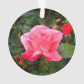 Touche du Rose de classe #1 Ornament (dos)