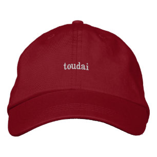 toudai sifu 852 casquette hk - hong kong casquette