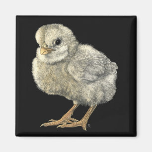 "Tough Chick" Magnet Magneet