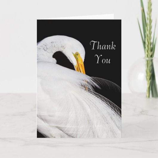 Toujours approuver le Merci (Devant)
