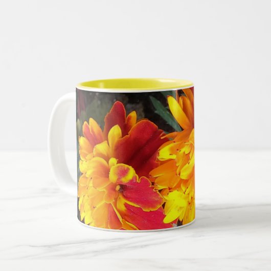 Toujours dans la tasse de souci de fleur (Devant gauche)