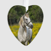 Toujours dans nos coeurs, Cheval Souvenir (devant)