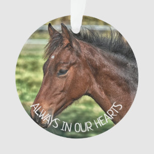 Toujours dans nos coeurs, Cheval Souvenir