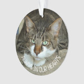 Toujours dans nos Cœurs, Remembrance de chat (devant)