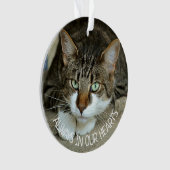 Toujours dans nos Cœurs, Souvenir de Chat (devant)