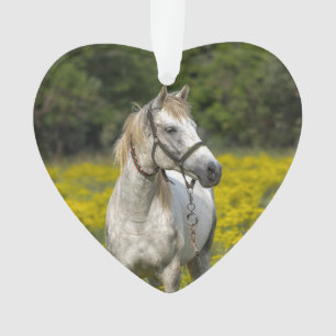Toujours dans nos Cœurs, Souvenir de Cheval