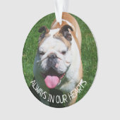 Toujours dans nos cœurs, souvenir de chien (devant)