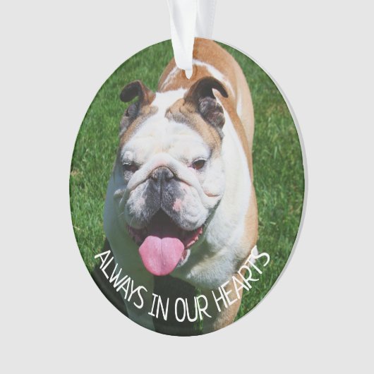 Toujours dans nos cœurs, souvenir de chien (devant)