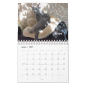 Toujours et pour toujours calendrier collectable (Mar 2027)