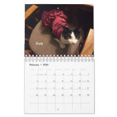 Toujours et pour toujours calendrier collectable (Feb 2026)