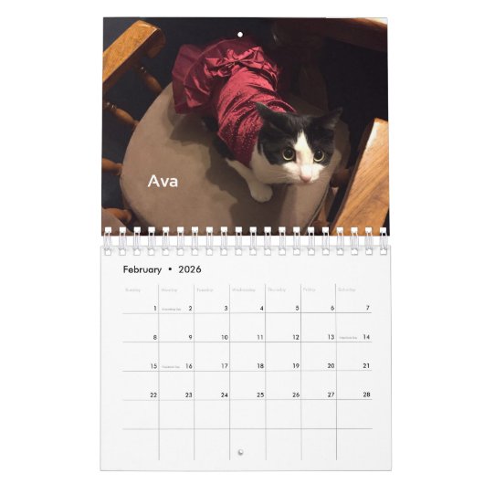 Toujours et pour toujours calendrier collectable (Feb 2026)