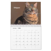 Toujours et pour toujours calendrier collectable (Jan 2026)