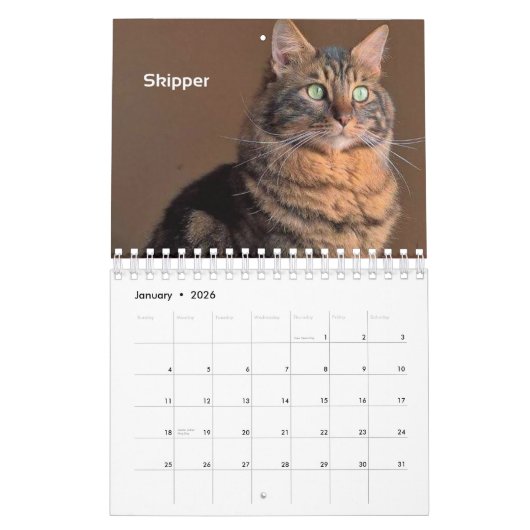 Toujours et pour toujours calendrier collectable (Jan 2026)