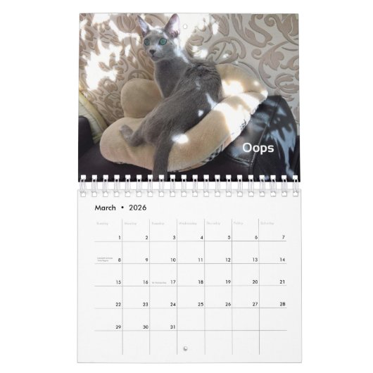 Toujours et pour toujours calendrier collectable (Mar 2026)